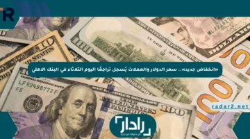 «انخفاض جديد».. سعر الدولار والعملات يُسجل تراجعًا اليوم الثلاثاء في البنك الأهلي